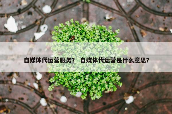 自媒体代运营服务？ 自媒体代运营是什么意思？