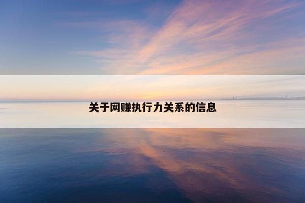 关于网赚执行力关系的信息