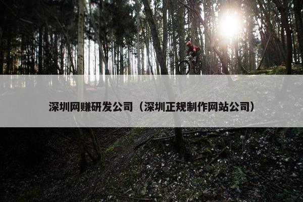 深圳网赚研发公司（深圳正规制作网站公司）