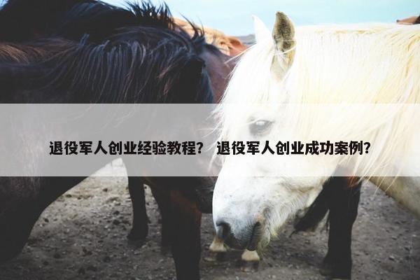 退役军人创业经验教程？ 退役军人创业成功案例？