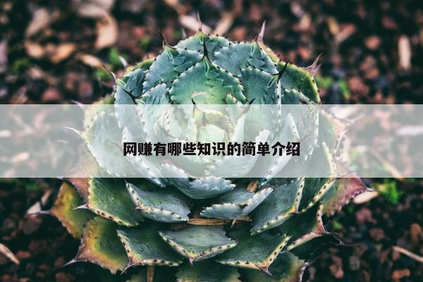 网赚有哪些知识的简单介绍