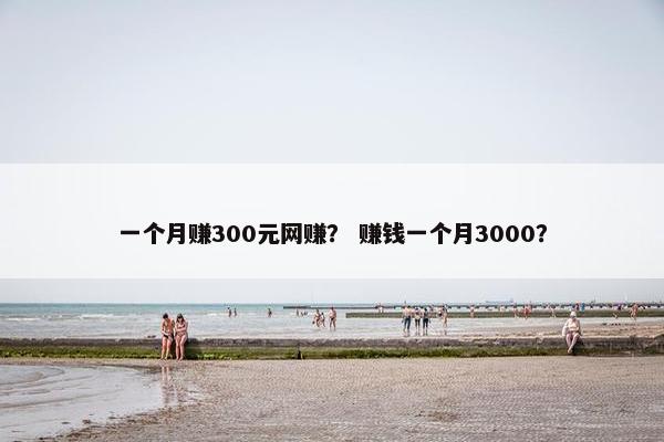 一个月赚300元网赚？ 赚钱一个月3000？