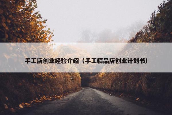 手工店创业经验介绍（手工精品店创业计划书）