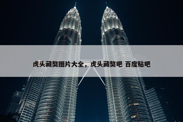 虎头藏獒图片大全，虎头藏獒吧 百度贴吧