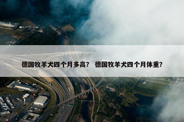 德国牧羊犬四个月多高？ 德国牧羊犬四个月体重？