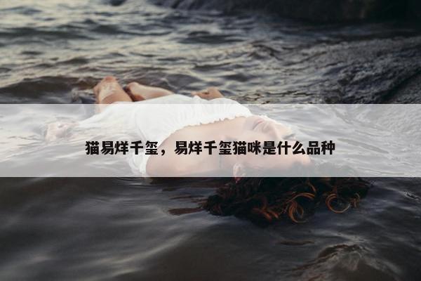 猫易烊千玺，易烊千玺猫咪是什么品种