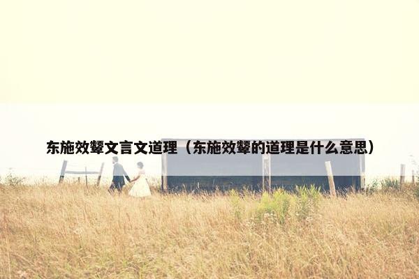 东施效颦文言文道理（东施效颦的道理是什么意思）