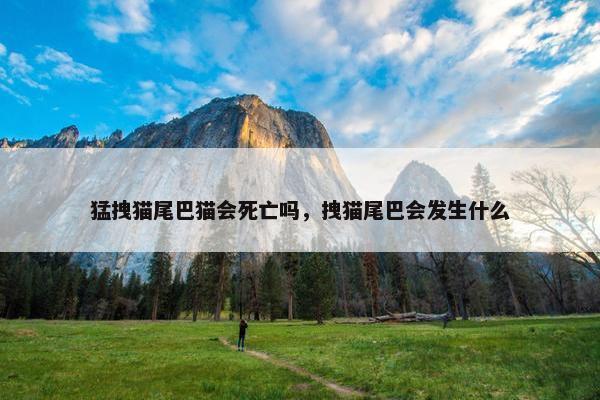 猛拽猫尾巴猫会死亡吗，拽猫尾巴会发生什么