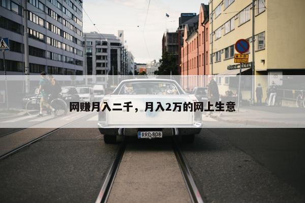 网赚月入二千，月入2万的网上生意