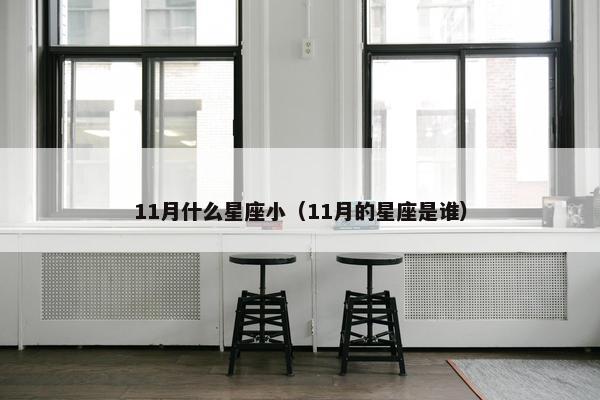 11月什么星座小（11月的星座是谁）