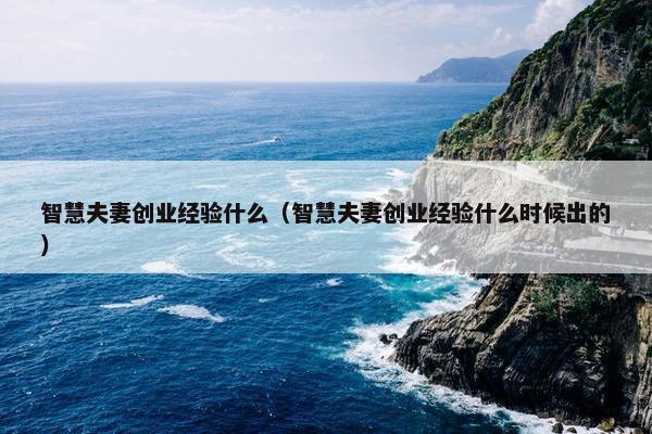 智慧夫妻创业经验什么（智慧夫妻创业经验什么时候出的）