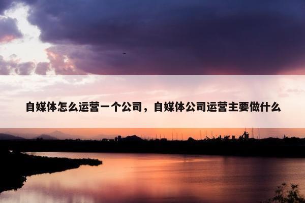 自媒体怎么运营一个公司，自媒体公司运营主要做什么