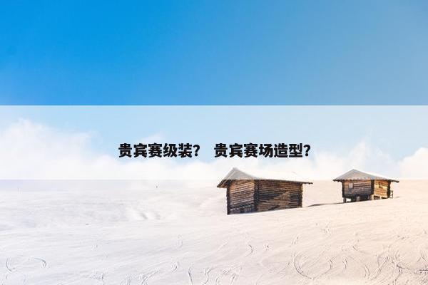 贵宾赛级装？ 贵宾赛场造型？
