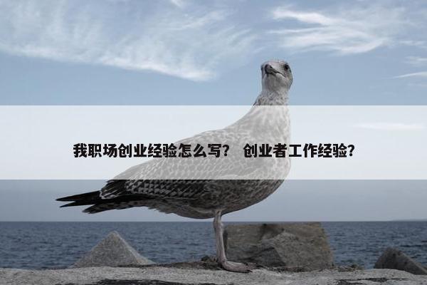 我职场创业经验怎么写？ 创业者工作经验？