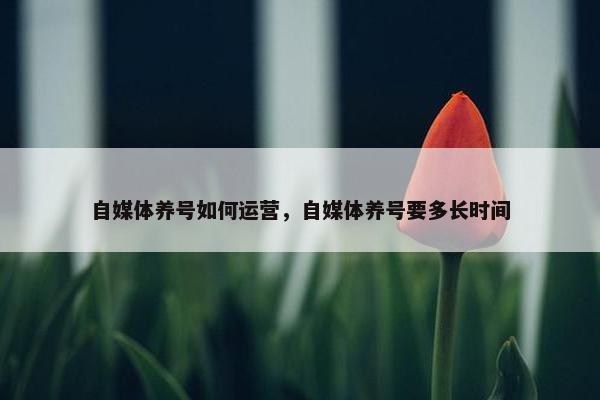 自媒体养号如何运营，自媒体养号要多长时间