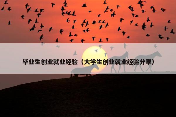 毕业生创业就业经验（大学生创业就业经验分享）