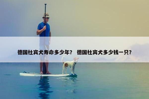 德国杜宾犬寿命多少年？ 德国杜宾犬多少钱一只？