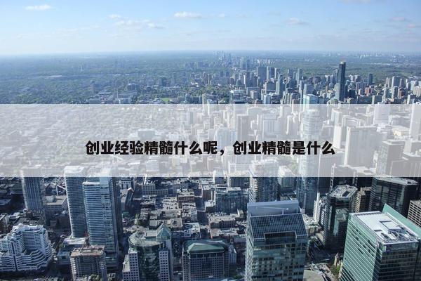 创业经验精髓什么呢，创业精髓是什么