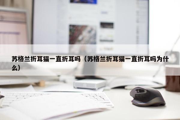 苏格兰折耳猫一直折耳吗（苏格兰折耳猫一直折耳吗为什么）