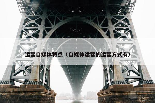 运营自媒体特点（自媒体运营的运营方式有）