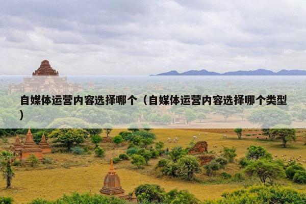 自媒体运营内容选择哪个（自媒体运营内容选择哪个类型）