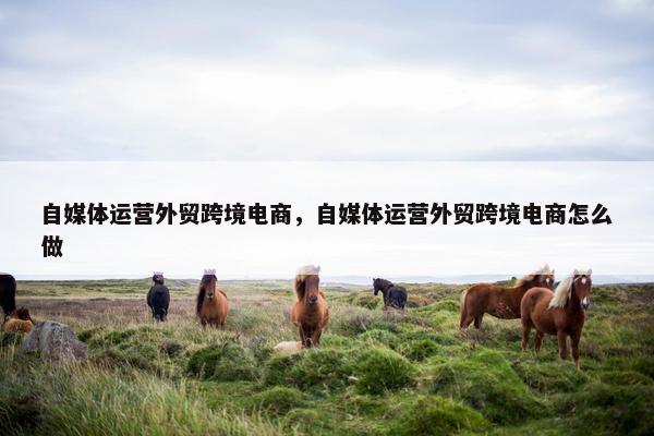 自媒体运营外贸跨境电商，自媒体运营外贸跨境电商怎么做