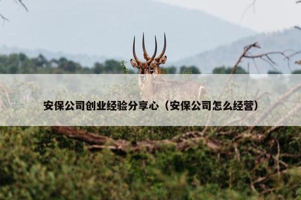 安保公司创业经验分享心（安保公司怎么经营）