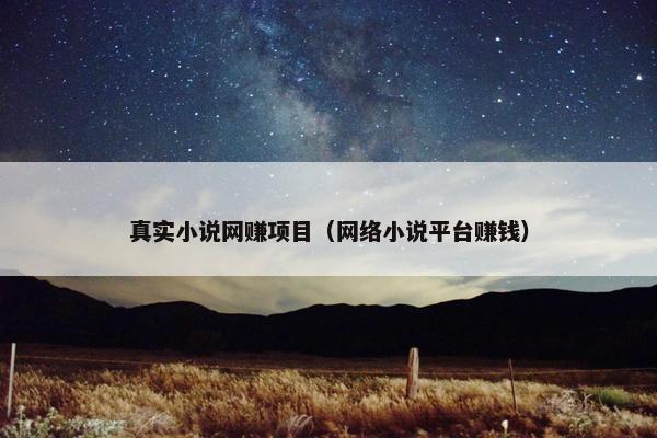 真实小说网赚项目（网络小说平台赚钱）
