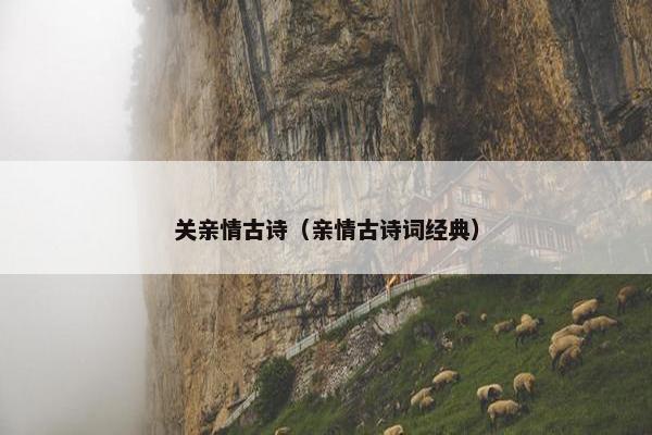 关亲情古诗（亲情古诗词经典）