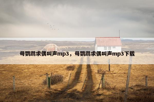 母鹦鹉求偶叫声mp3，母鹦鹉求偶叫声mp3下载