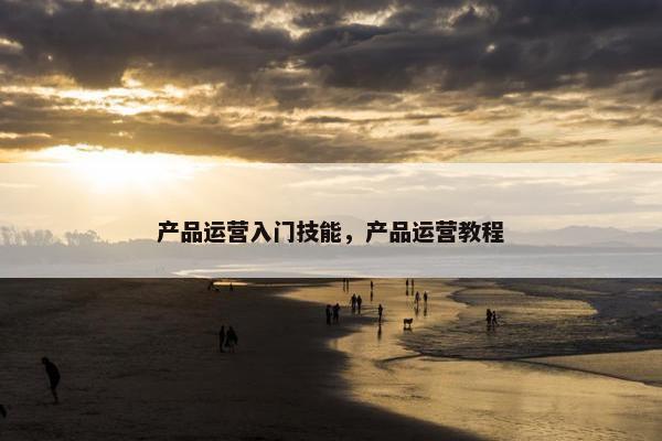 产品运营入门技能，产品运营教程