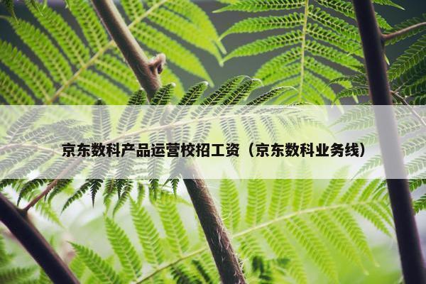 京东数科产品运营校招工资（京东数科业务线）