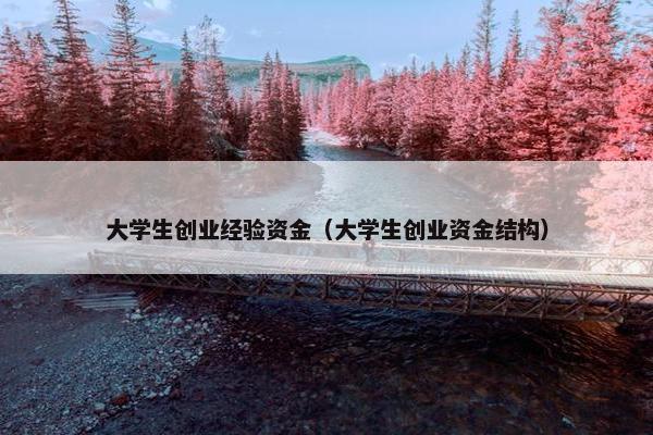 大学生创业经验资金（大学生创业资金结构）