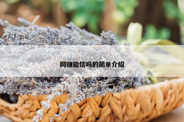 网赚能信吗的简单介绍