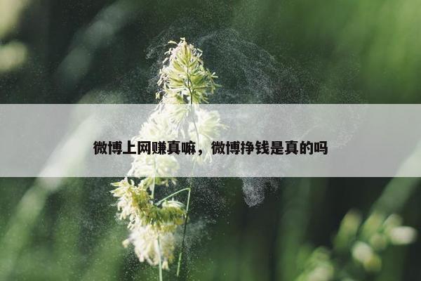 微博上网赚真嘛，微博挣钱是真的吗