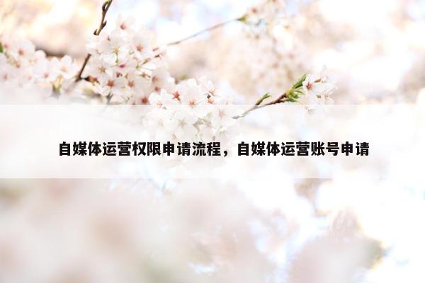 自媒体运营权限申请流程，自媒体运营账号申请