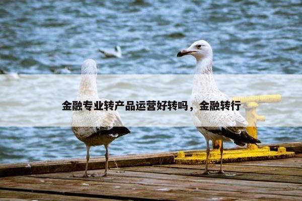 金融专业转产品运营好转吗，金融转行