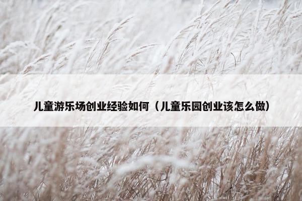 儿童游乐场创业经验如何（儿童乐园创业该怎么做）