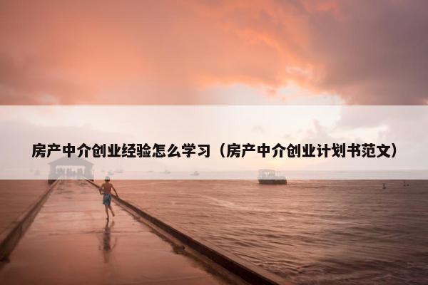 房产中介创业经验怎么学习（房产中介创业计划书范文）