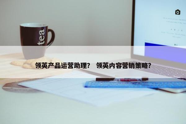领英产品运营助理？ 领英内容营销策略？