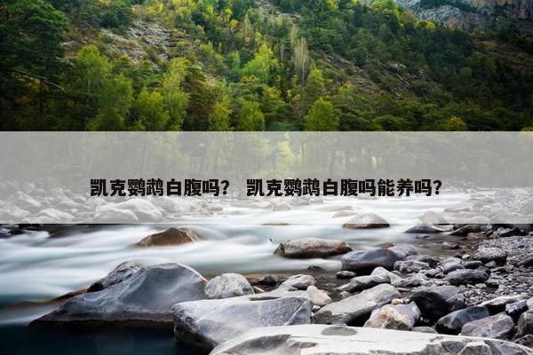 凯克鹦鹉白腹吗？ 凯克鹦鹉白腹吗能养吗？