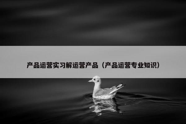 产品运营实习解运营产品（产品运营专业知识）