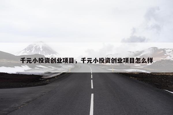 千元小投资创业项目，千元小投资创业项目怎么样