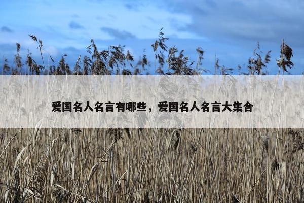 爱国名人名言有哪些，爱国名人名言大集合
