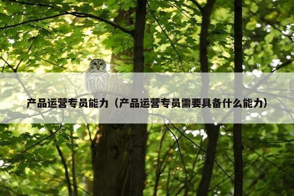 产品运营专员能力（产品运营专员需要具备什么能力）