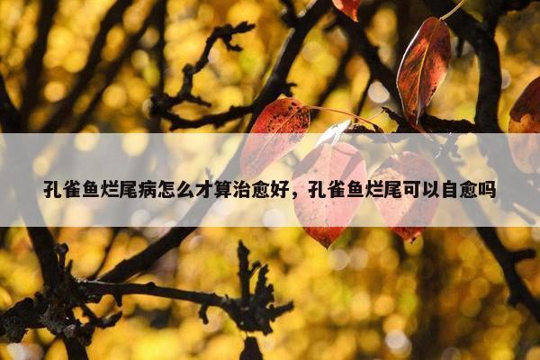 孔雀鱼烂尾病怎么才算治愈好，孔雀鱼烂尾可以自愈吗