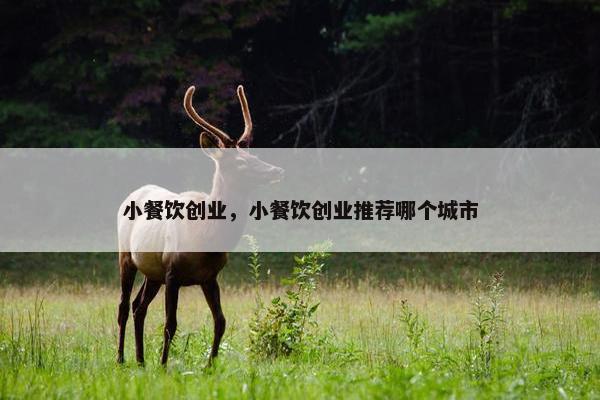 小餐饮创业，小餐饮创业推荐哪个城市