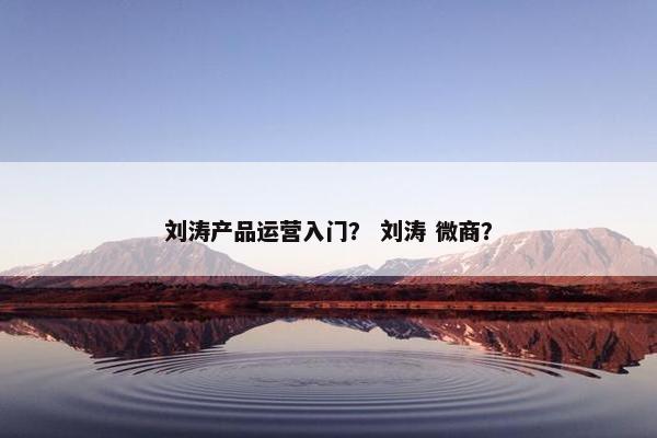 刘涛产品运营入门？ 刘涛 微商？