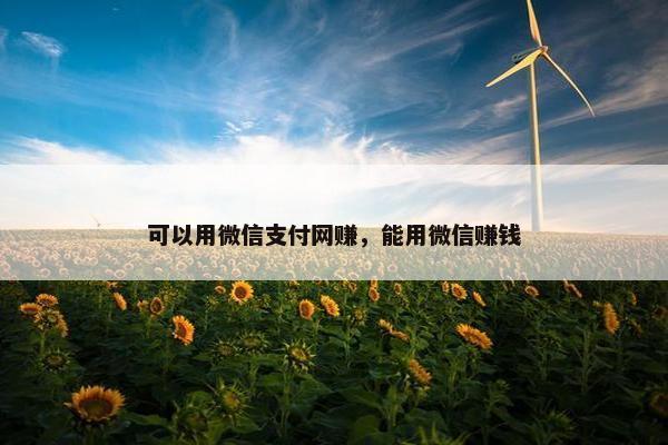 可以用微信支付网赚，能用微信赚钱