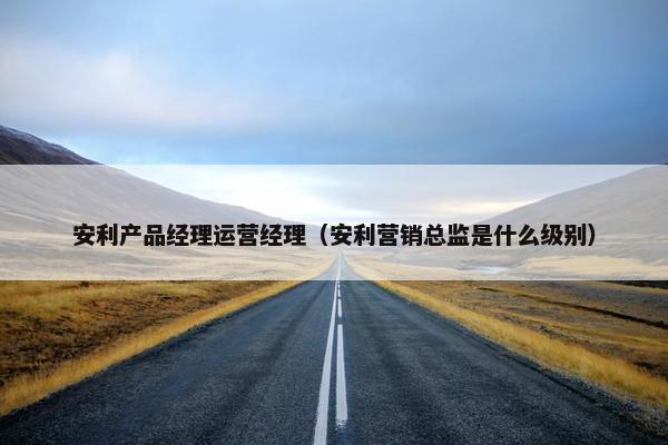 安利产品经理运营经理（安利营销总监是什么级别）